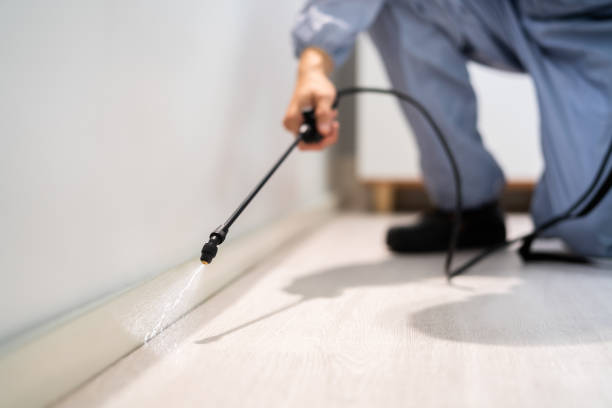 Licensed Termite Control service in Oxford, OH - Show Me Pest Control