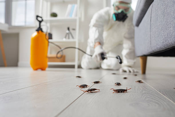 Commercial Rodent Management in Oxford
